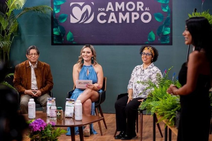 01 CAMPO