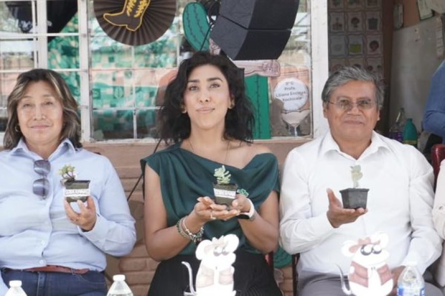 01 DIPUTADA