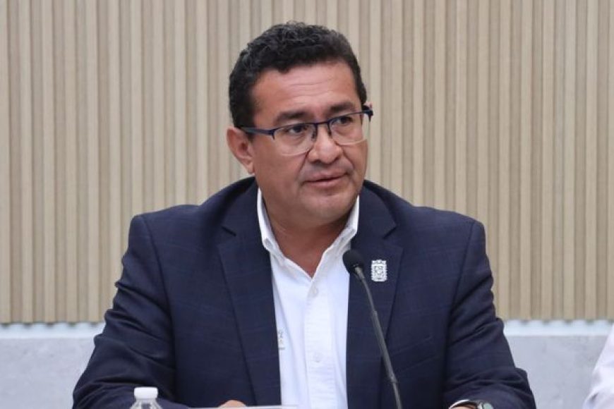 01 DIPUTADO