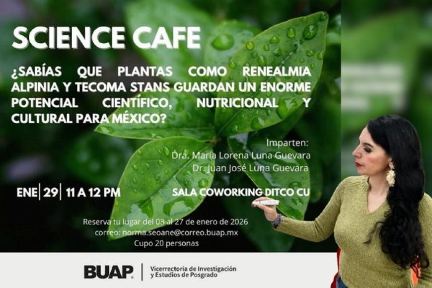 01 buap