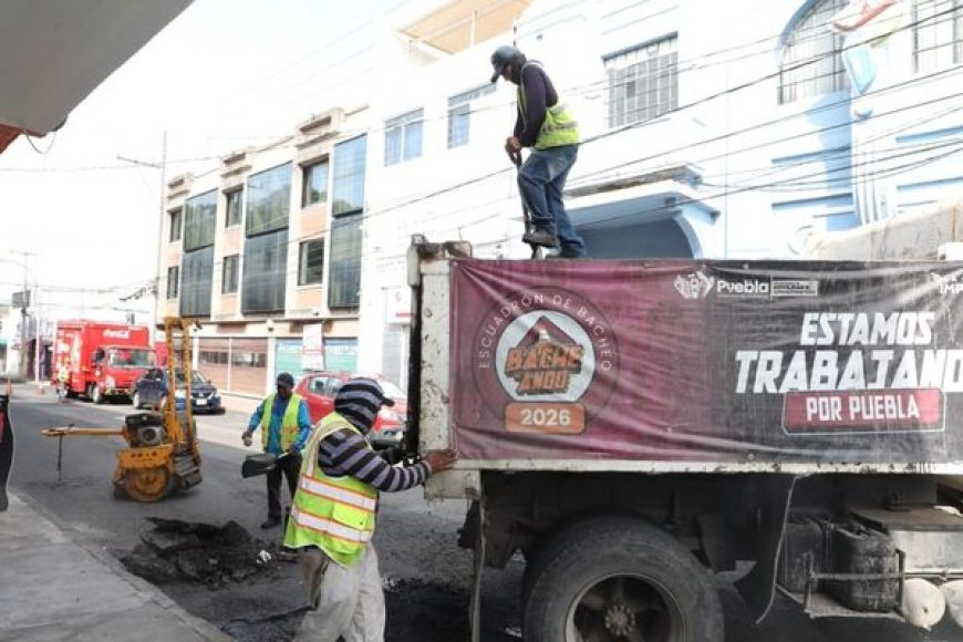 02 BACHEO