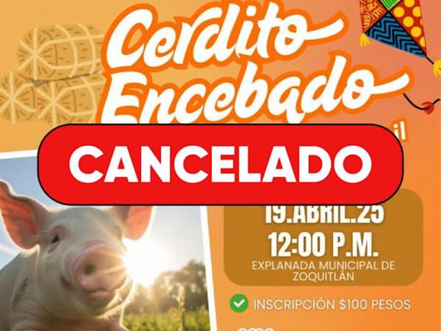 02 cerdito