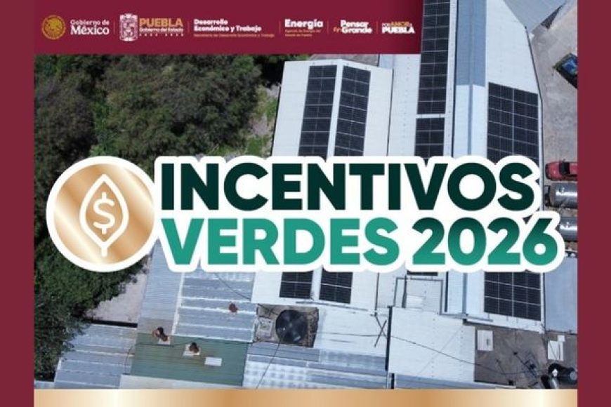 02 incentivos