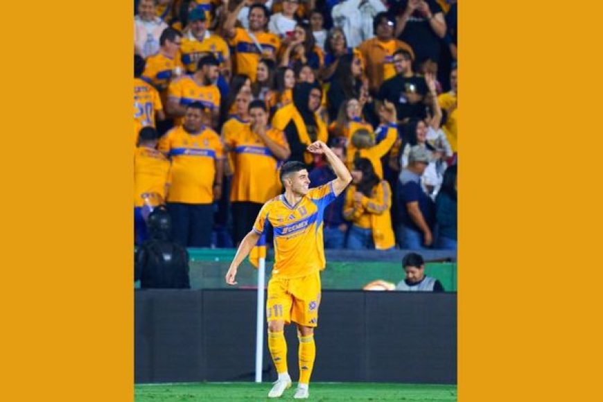 02 tigres
