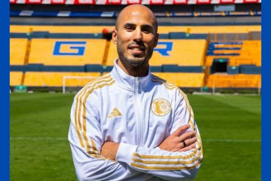 03 TIGRES