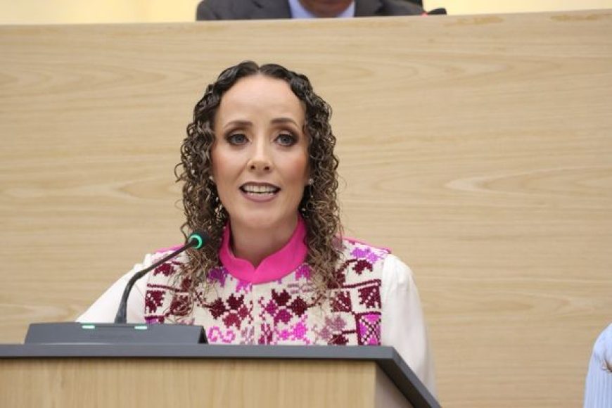 04 DIPUTADA