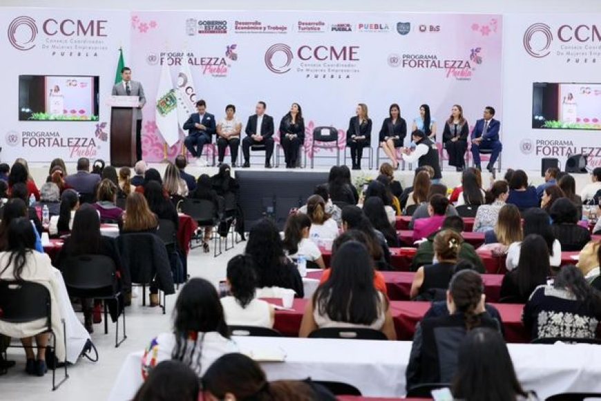 04 PROGRAMA