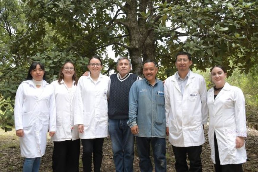 05 BUAP