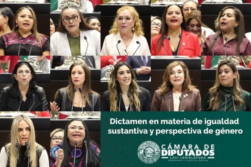 06 DIPUTADOS
