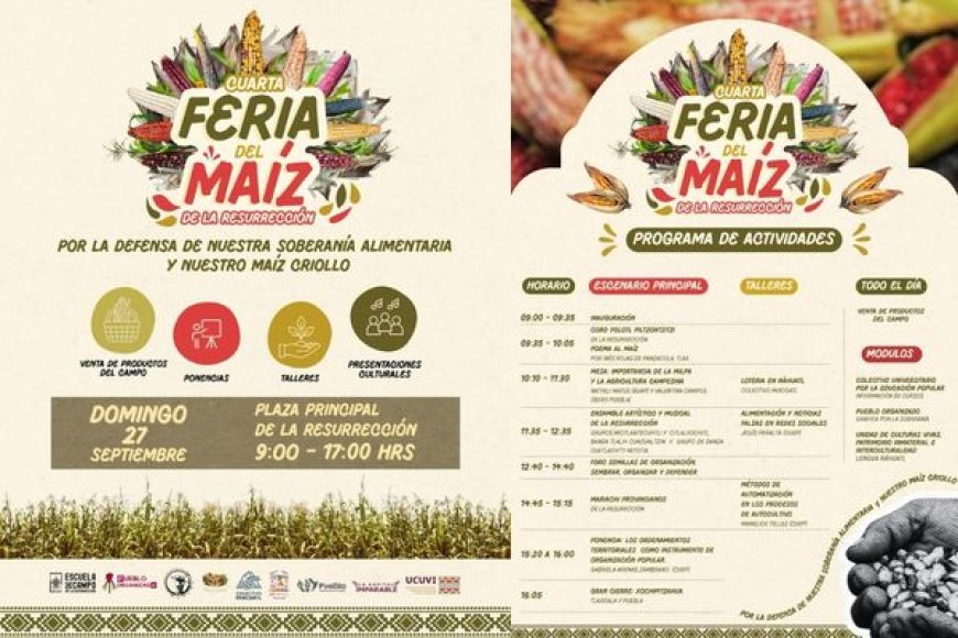 06 MAIZ