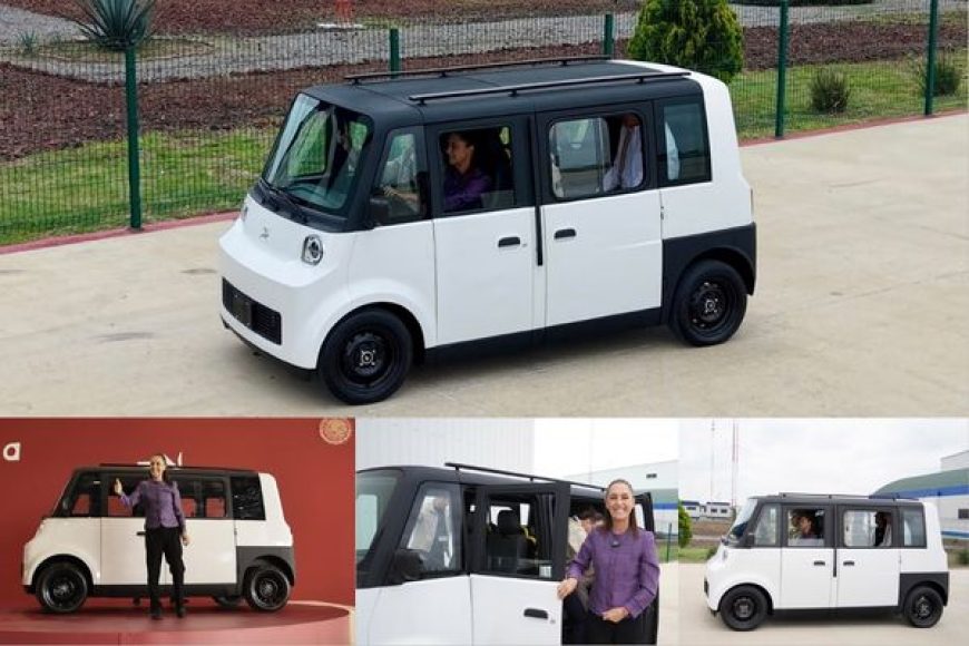 06 OLINIA