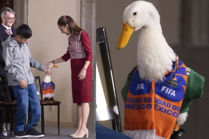 06 PATO