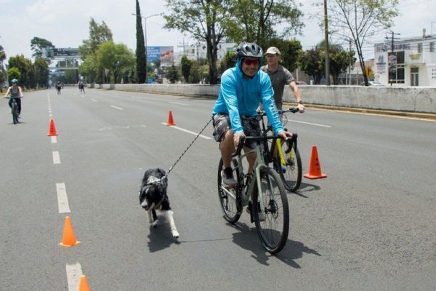 07 BICI