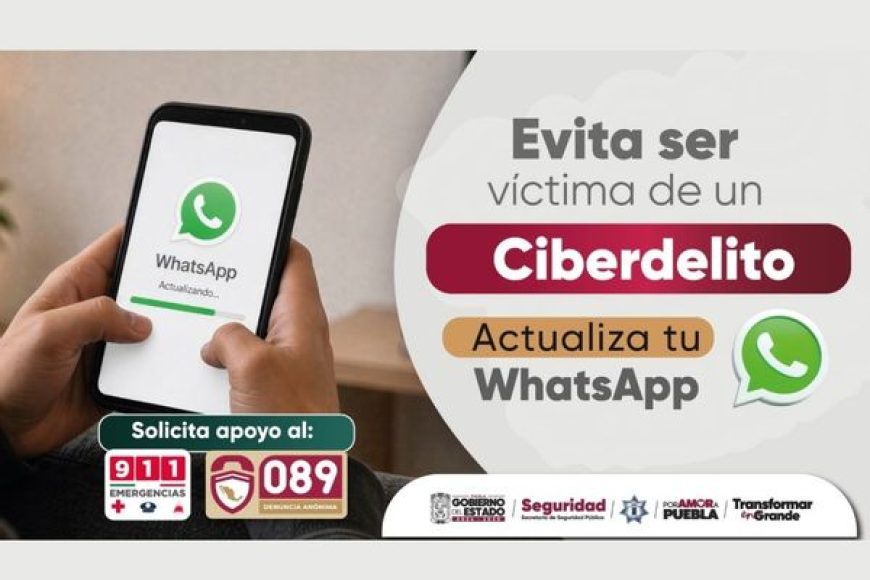 07 ciber