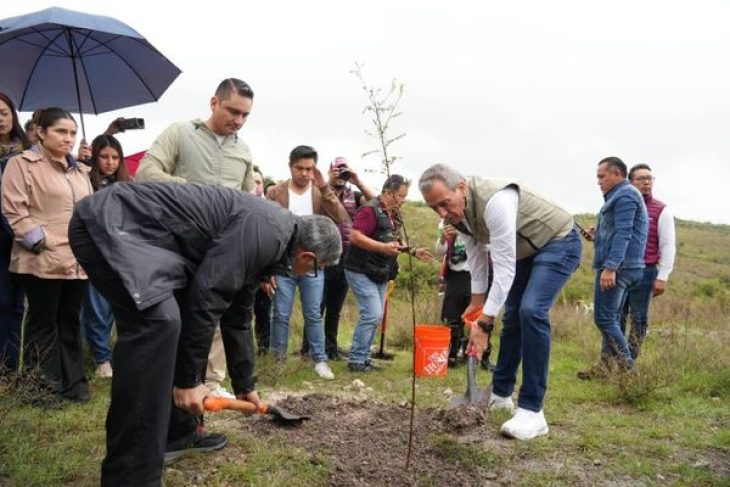 08 ARBOL