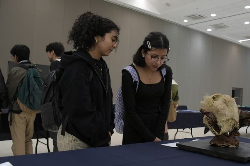 08 BUAP