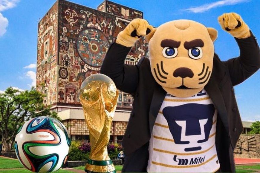 08 UNAM1