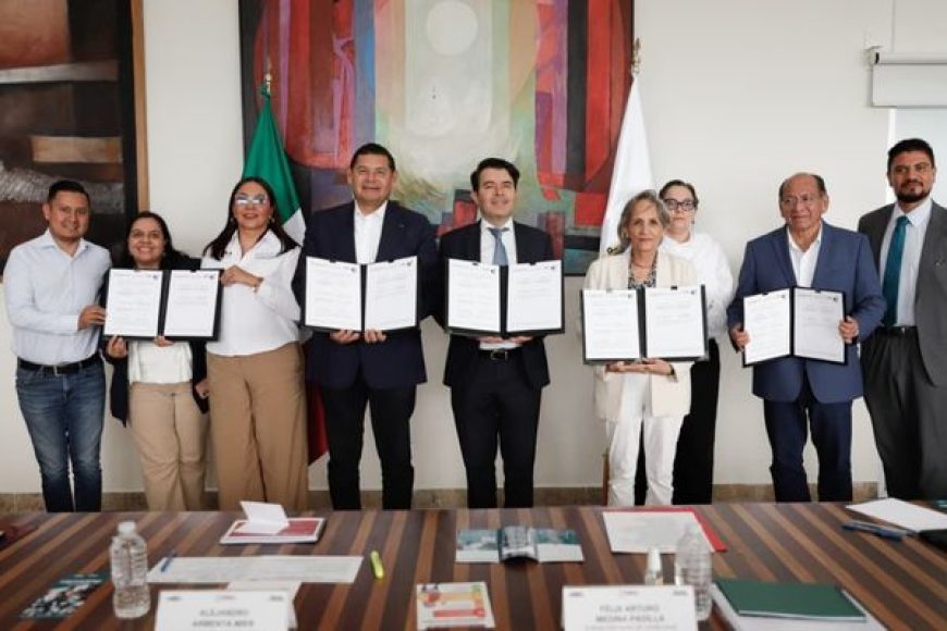 08 conapo