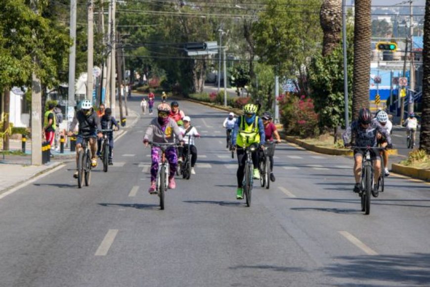 09 CICLO
