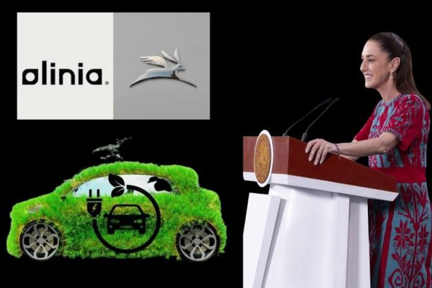 09 olinia