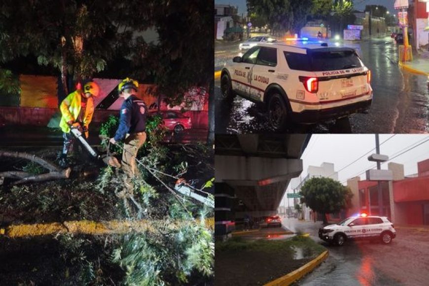 10 LLUVIA