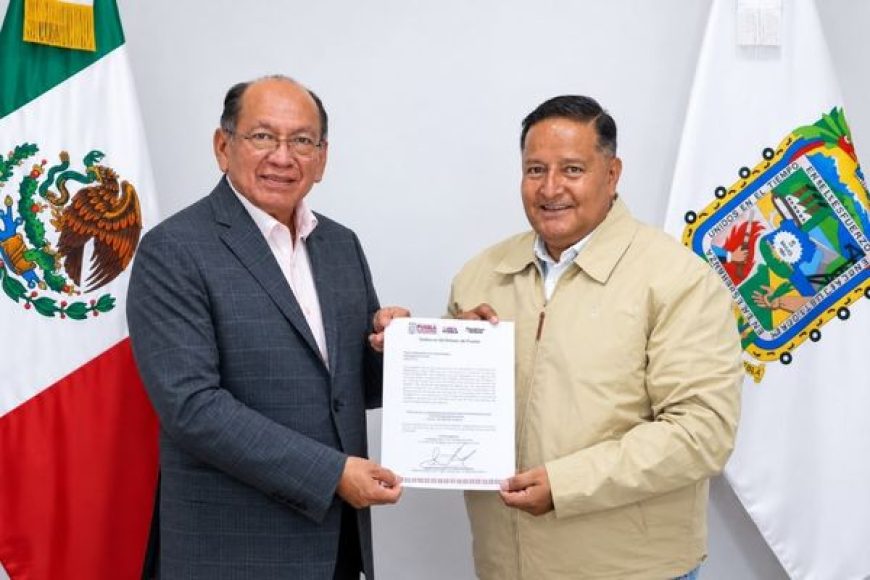 11 GOB
