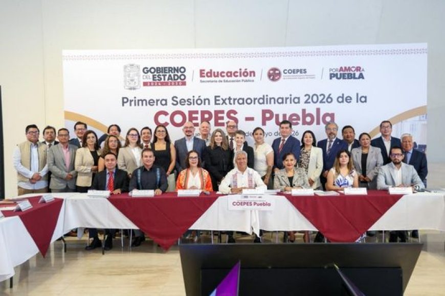 12 UNICREA