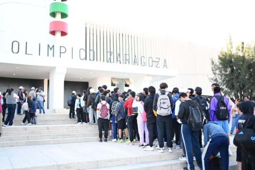 12 UNIDEP