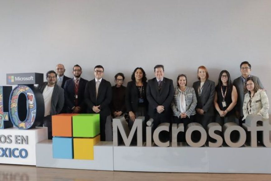 13 MICROSOFT