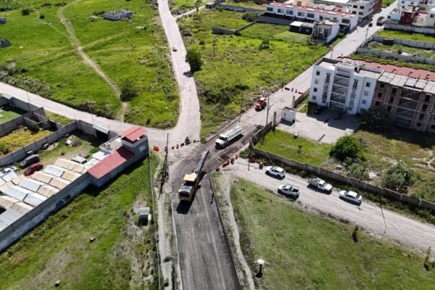 13 PAVI