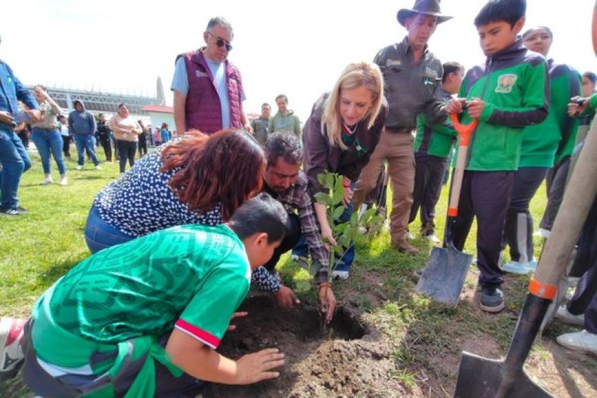 16 ARBOL